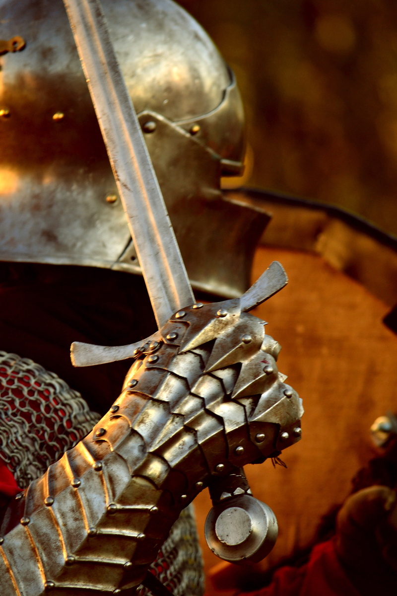 steel, iron, art and craft, knight, animal representation, vintage, the past, craft, metallic, pattern, focus on foreground, representation, no people