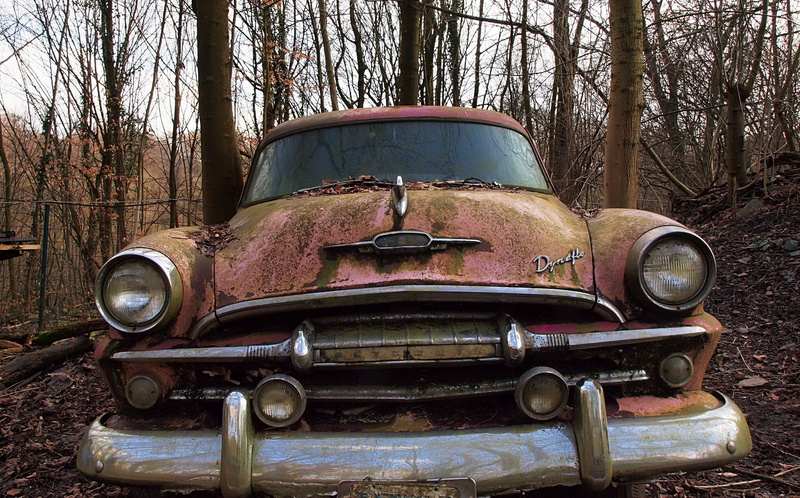 tree, vintage car, rusty, forest, nature, abandoned, land, land vehicle, vehicle, trunk, motor vehicle, mode of transportation, day, tree trunk, no people