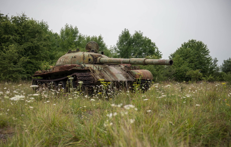 plant, outdoors, nature, sky, field, old, 1080P, military, growth, tank, armed forces, abandoned, tree, grass, day, clear sky, green color, no people