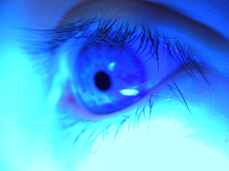 bulgaria, 2K, Blue Eye, photo, human eye, feather, human, fun, eye, noah, blue, close, close-up, feature