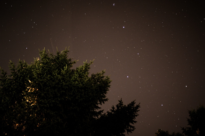 silhouette, low angle view, night, backgrounds, astronomy, space and astronomy, scenics - nature, nature, no people, forest, trees, space, star - Space