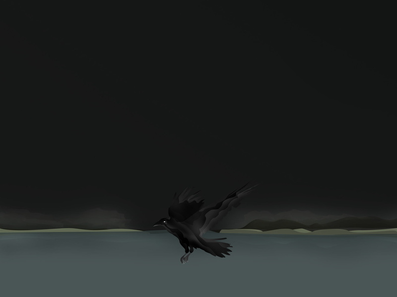 1080P, animals, artwork, polar night, raven, fantasy art
