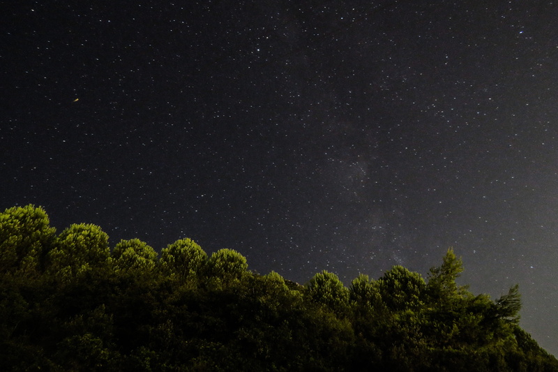 outdoors, star field, startrail, space and astronomy, tranquil scene, beauty in nature, idyllic, tree, low angle view, scenics - nature, star, night sky