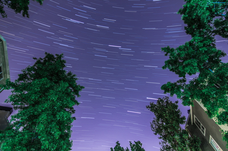 photography, starglaze, growth, lit, building, angle, motion, nature, californium, trees, 5K, sky, architecture, leafed, astrophotography, star trail