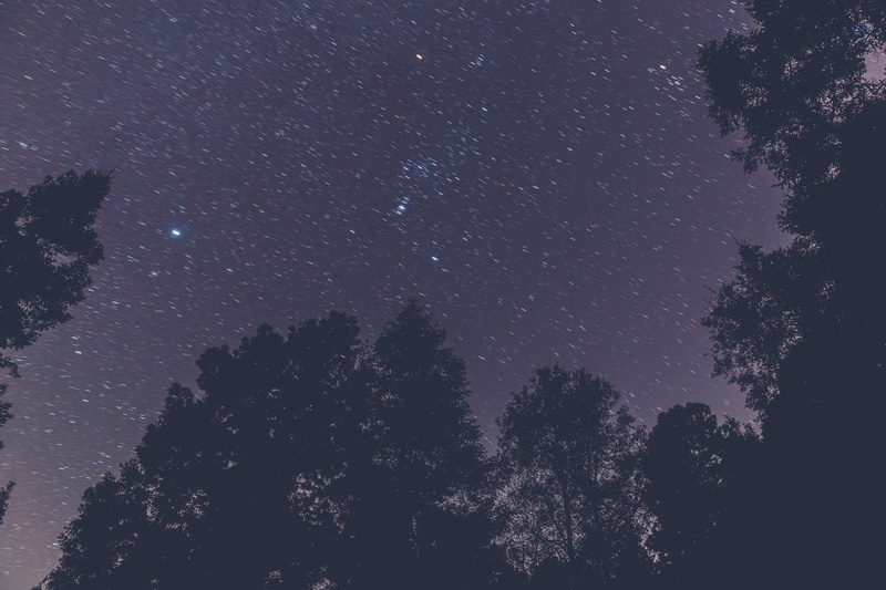 space, astronomy, beauty in nature, unsplash, nanacamilpa, scenics - nature, plant, explore, no people, star trail, tranquility, tlaxcala, night, nightsky