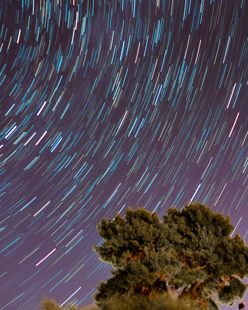 nature, nightshot, sky, planet - Space, outdoors, star - Space, astrophotography, nightout, nightscape, galaxy, tree, star, movingstar, backgrounds, astronomy
