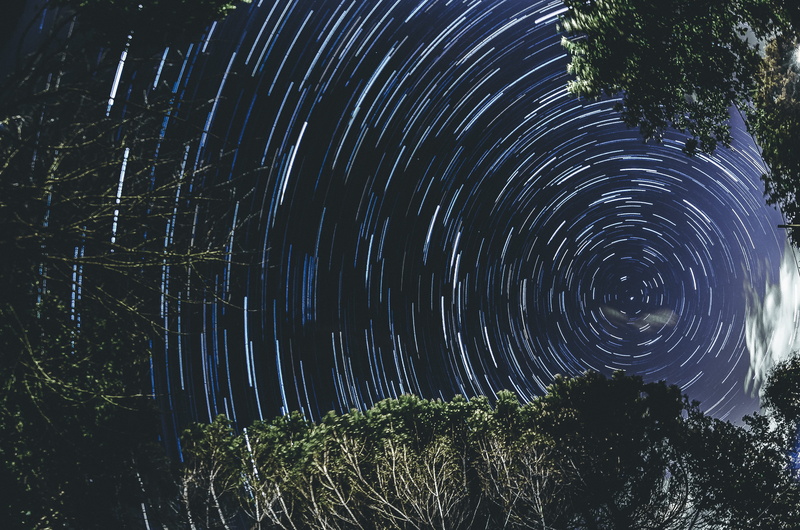 forest, scenics - nature, growth, plant, stars, circle, loadstar, star - space, lapse, low angle view, tranquil scene, outdoors, 360, tranquility, polar star