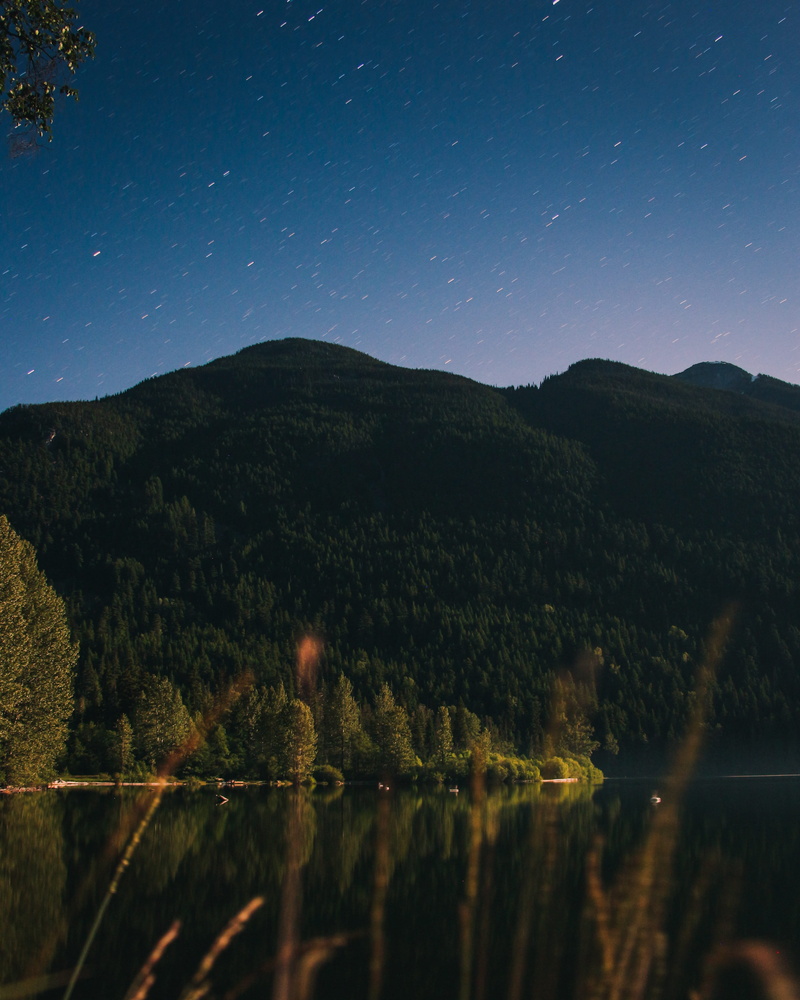 plant, tranquility, hillside, skyline, moutain, scenics - nature, night sky, woodland, startrail, astrophotography, astronomy, water reflection, no people