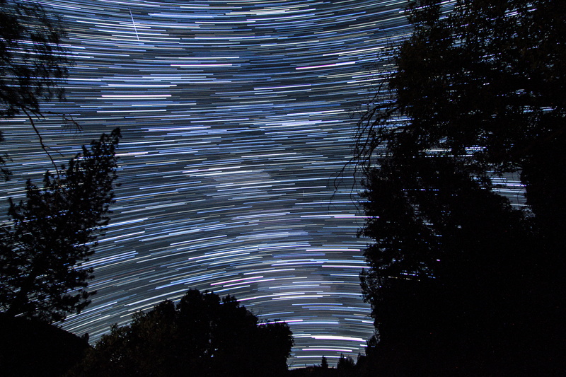photography, nature, eye, beauty in nature, time, space, star lapse, star trail, tree, long exposure, 5K, night sky, s, scenics - nature, illuminated