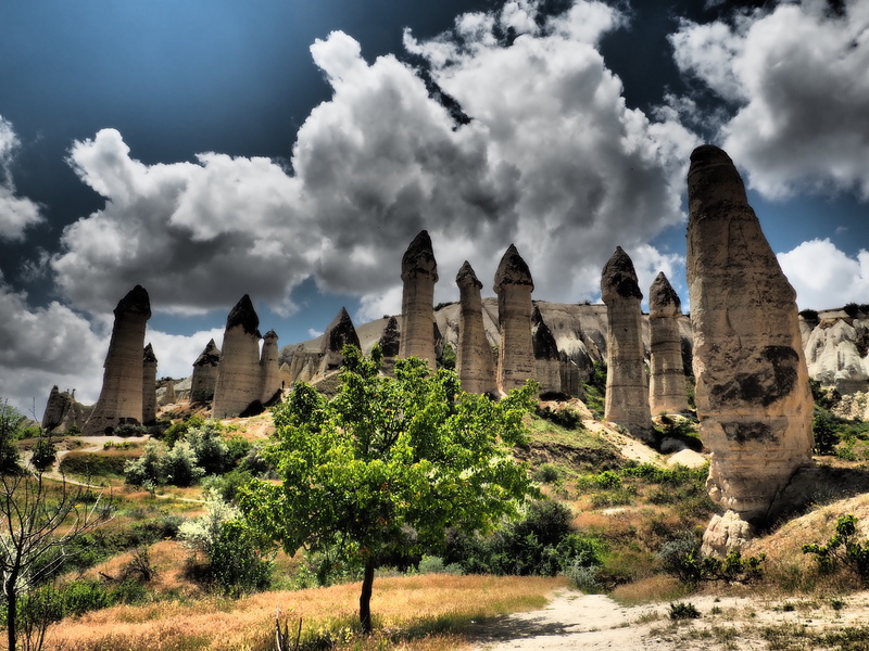 the past, archaeology, travel, rock, tree, no people, trees, built structure, tourism, ruined, travel destinations, turkey, building exterior, ancient civilization
