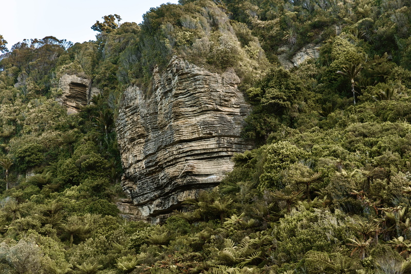 scenics - nature, mountain, tranquility, vegetation, green color, nz landscape, land, rocks, bush, beauty in nature, 5K, abies, new zealand, no people