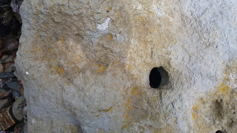 rock, day, rockform, 4K, geology, no people, wall, texture, old, backgrounds, insect, concrete, pattern, rough, wall - building feature, limestone, background