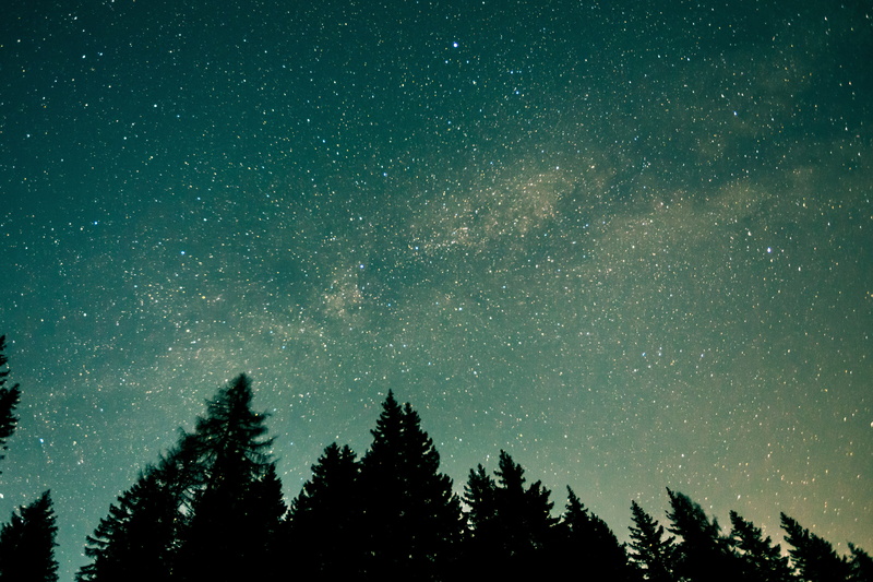 tree, night sky, scenics - nature, wild, 4K, landscape, coniferous tree, no people, plant, nebula, nature, space, natural, snow, blue, beauty in nature