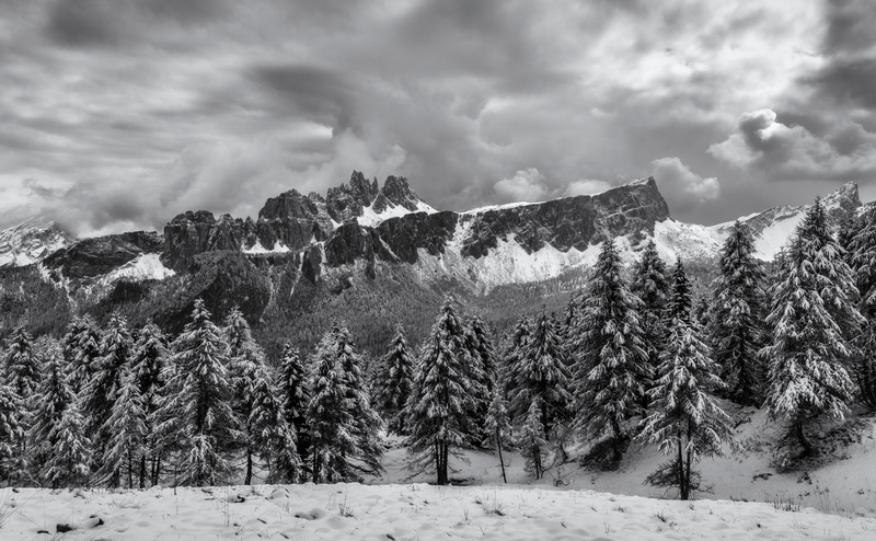 Northern, Travel, blackandwhite, pellizzano, pine tree, dolomites, White, cloud - sky, Winter, traveltheworld, Scenery, clouds, pine woodland, storm, Vacation