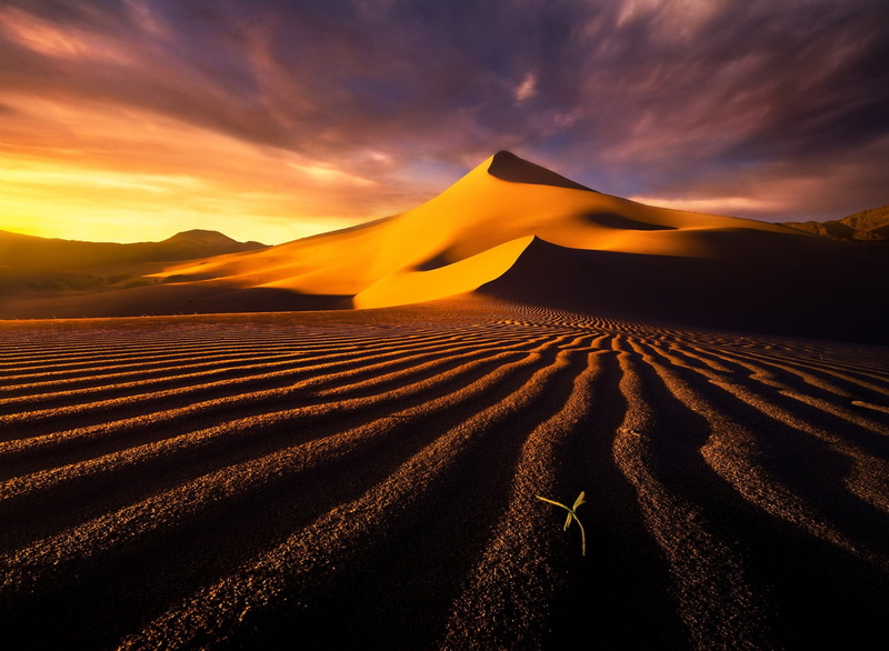 Earth, Death Valley, California, Desert, 1080P, Dune