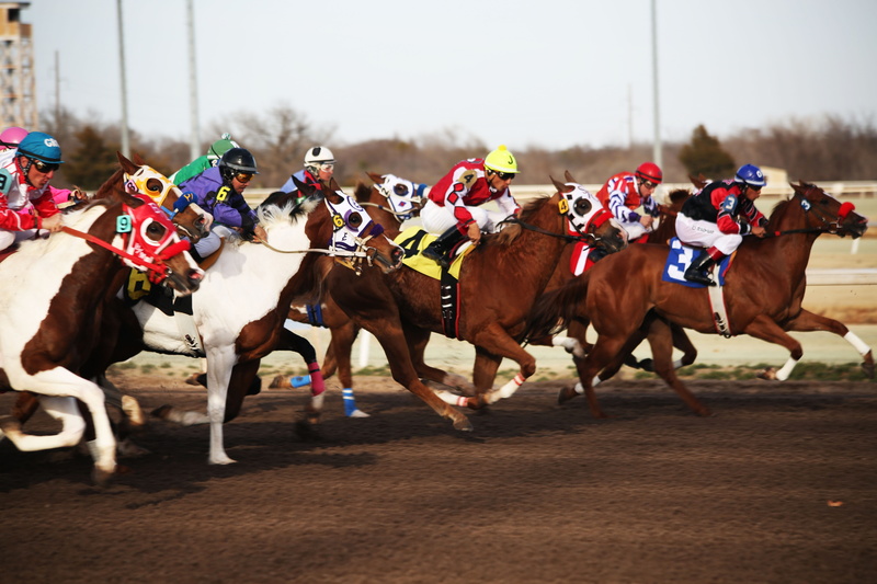 livestock, group of people, outdoors, animal, jockey, medium group of animals, animal wildlife, domestic, racetrack, horseback, photography, racing, horse racing