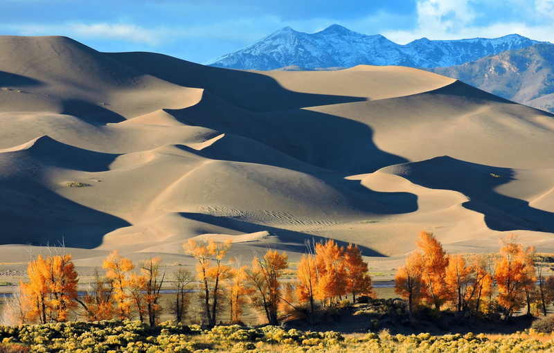 utah, day, landscape, 2K, national park, shadows, sand dunes, plant, scenic, panorama, cloud - sky, tree, non-urban scene, cleveland peak, environment