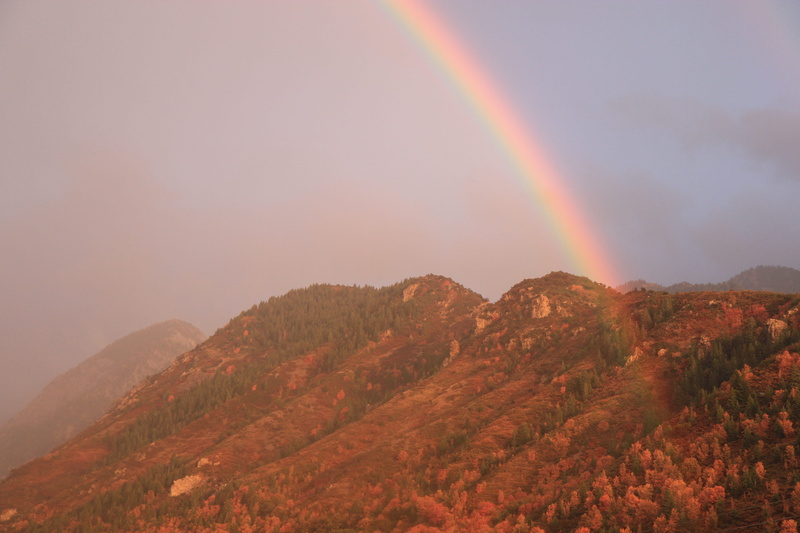 tranquil scene, mountain, mountain range, rainbow, sky, idyllic, nature, double rainbow, scenics - nature, united states, plant, beauty in nature, remote