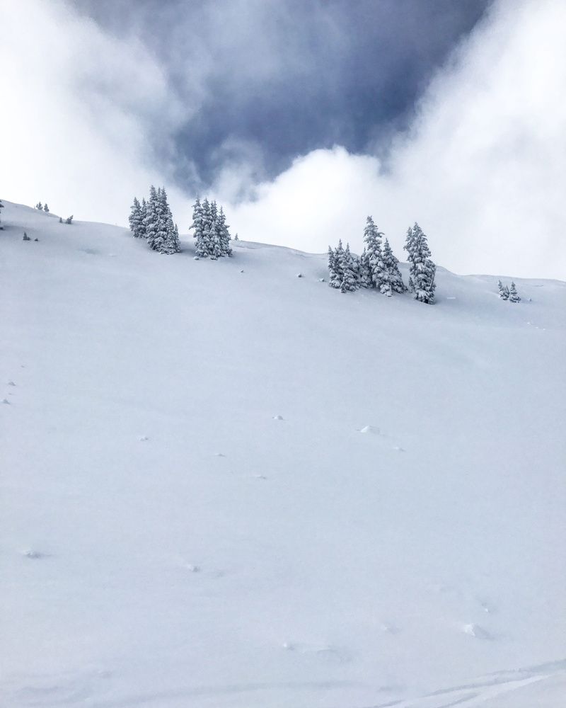 outdoors, no people, snow, landscape, tranquility, covered, tree, grey, nature, cloudy, mountain, extreme weather, alta, winter, day, tranquil scene, plant