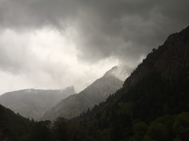 nature, scenics - nature, cloud - sky, environment, mountain range, tree, coniferous tree, plant, tranquility, sky, mountain peak, no people, 2K, big cottonwood canyon