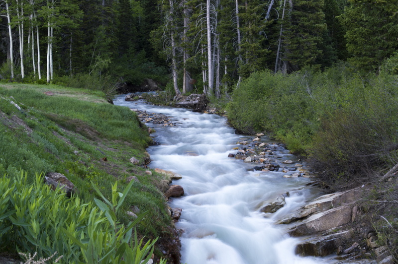 scenics, rocks, creek, beside, Little Cottonwood Canyon, flow, motion, Mountain Stream, Utah, trees, runoff, natural, outdoors, forest, Snowbird, evening