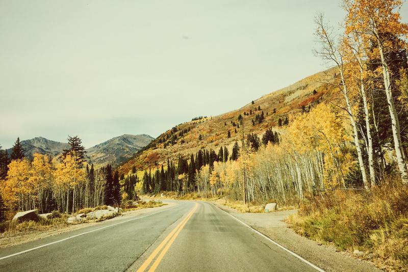diminishing perspective, outdoors, symbol, empty road, transportation, the way forward, road marking, nature, plant, utah, sky, double yellow line, trees