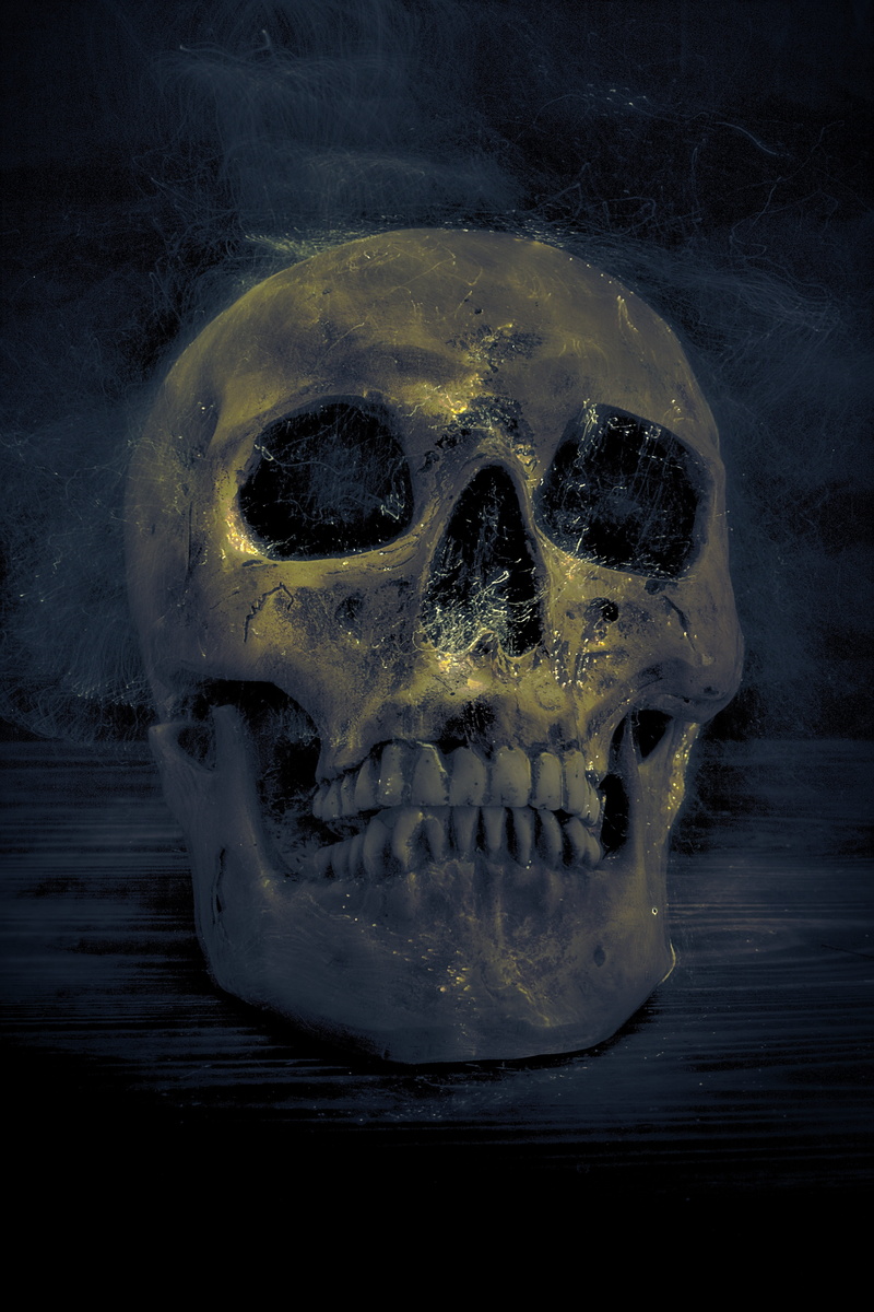 horror, lightpainting, halloween, gothic, face, black background, skeleton, spooky, table, indoors, mystery, fantasy, pine, single object, 5K, bone, human body part