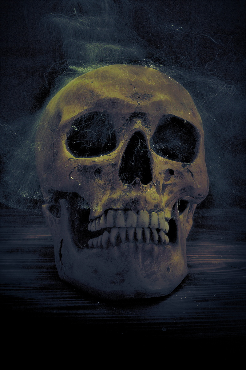 weird, 5K, mystical, human bone, close-up, bright, human skeleton, body part, ghostly, dream world, single object, still life, skeleton, creepy, spooky