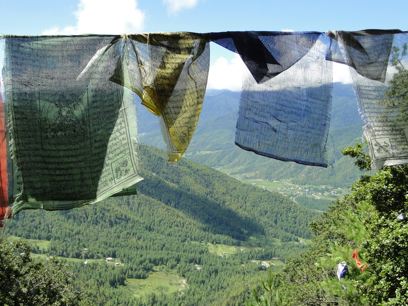 prayer flags, tree, day, bhutan, land, hanging, plant, sky, mountain range, tranquility, sunlight, mountain, landscape, no people, nature, outdoors, green color