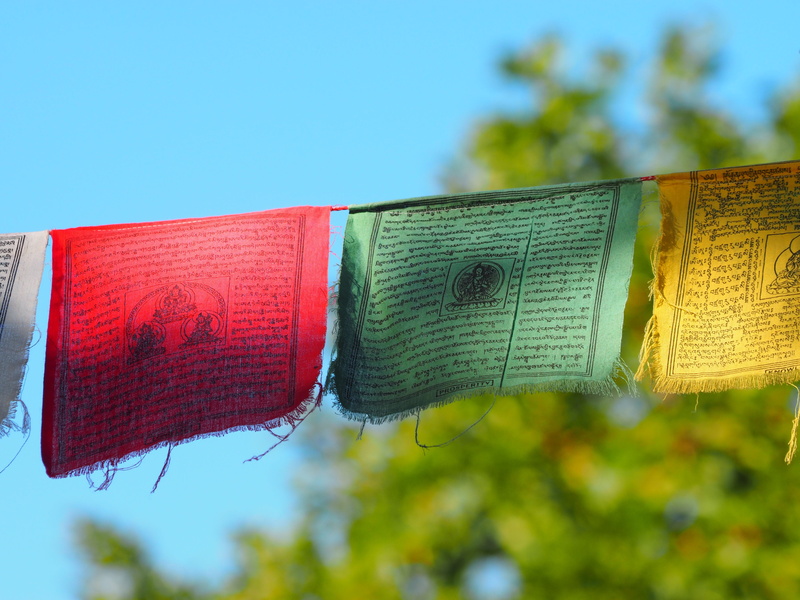 day, sky, clear sky, nature, 4K, green color, metal, flags, no people, tinsel, plant, communication, blue, outdoors, red, safety, tibetans subject-garlands