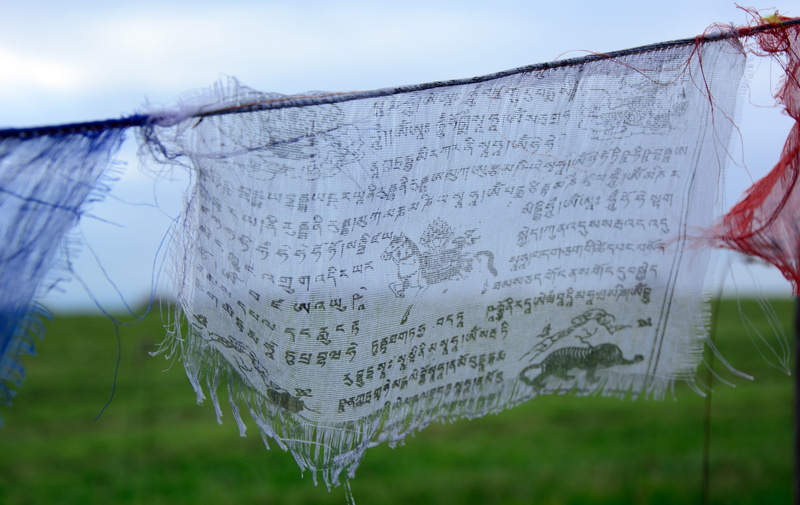 sign, close-up, focus, communication, field, flag, clothing, green, text, 5K, Prayer Flag, environment, prayers, hanging, land, focus on foreground, outdoors