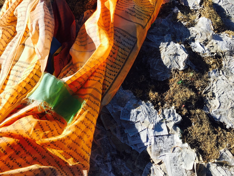 close-up, tibet, qinghai, clothing, beauty in nature, rock - object, 4K, leaf, sunlight, land, buddhism, plant part, market, no people, high angle view