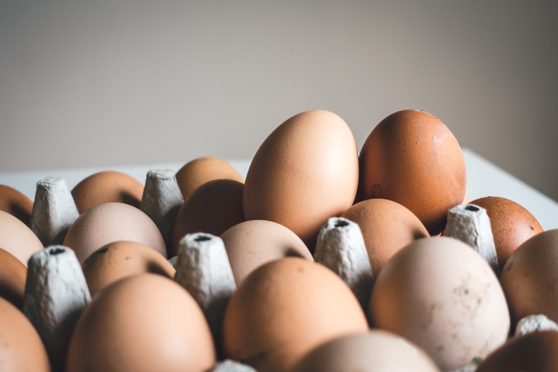 still life, shallow, chicken, in a row, egg, chicken eggs, close-up, breakfast, photo, food And Drink, egg carton, abundance, vulnerability, eggs, freshness