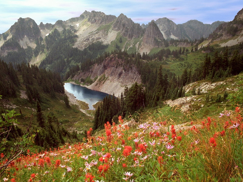 scenics, idaho, blue, beauty In Nature, flowing, flowering plant, hiking, lake, water, mountains, day, landscape, sky, trees, river, springtime, scenics - nature