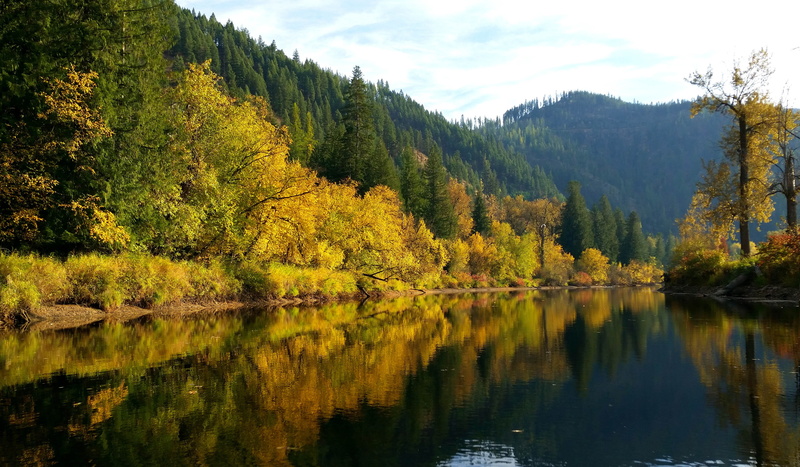 beautiful, north idaho, northern idaho, lake, reflection, growth, scenic river, non-urban scene, tranquility, nature, forest, coniferous tree, saint joe river area