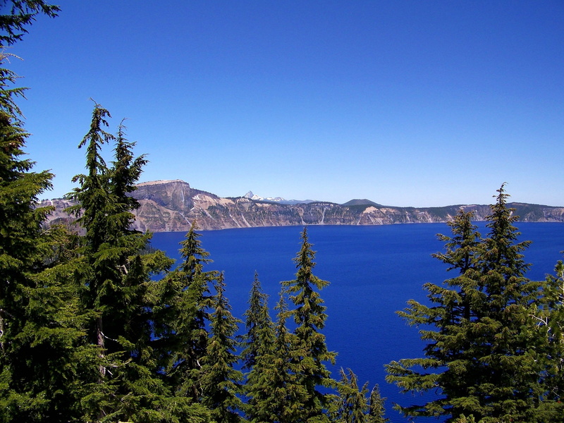 snowcapped mountain, day, oregon, tranquility, clear sky, national park, no people, scenics - nature, growth, beauty in nature, pine trees, mountain, blue