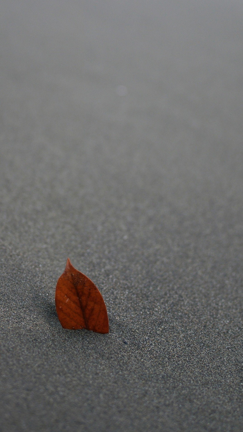 Pivot, 1080P, leaves, sand