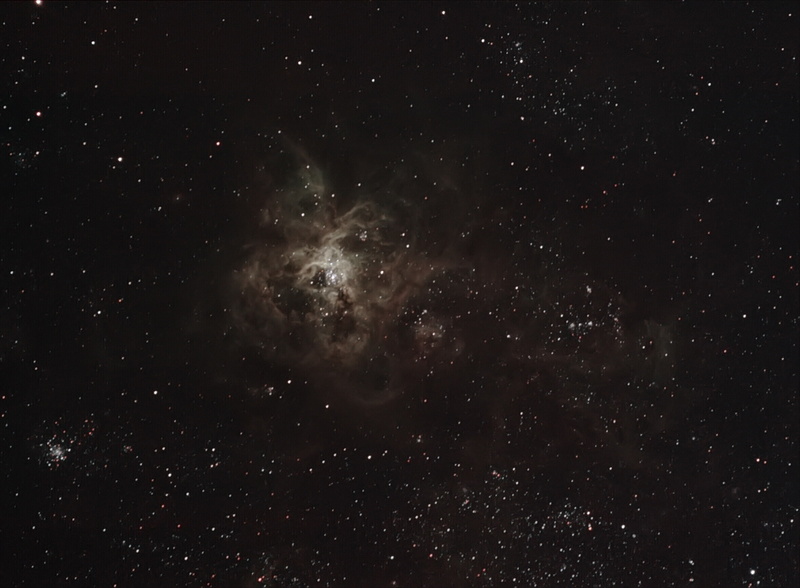 in the constellation, Tarantula, 1080P, nebula, emission, Gold Fish