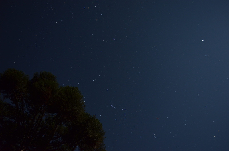 tranquil scene, scenics - nature, space, galaxy, space and astronomy, starry, growth, tranquility, orion, 4K, araucaria, star field, constellation, idyllic