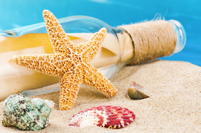 close-up, land, 4K, nature, no people, animal wildlife, shell, star shape, seashells, beach, food and drink, sea, animal, food, starfish, marine, beige