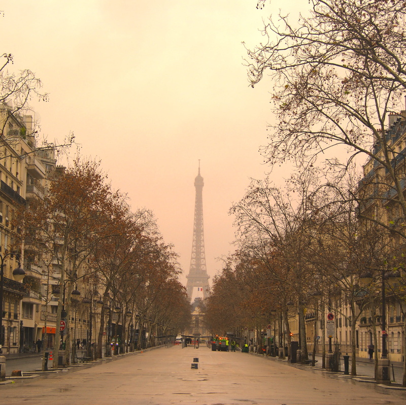 eiffeltower, history, the past, sky, tree, cityview, nature, travel, building, plant, tourism, souslecieldeparis, incidental people, city, travel destinations