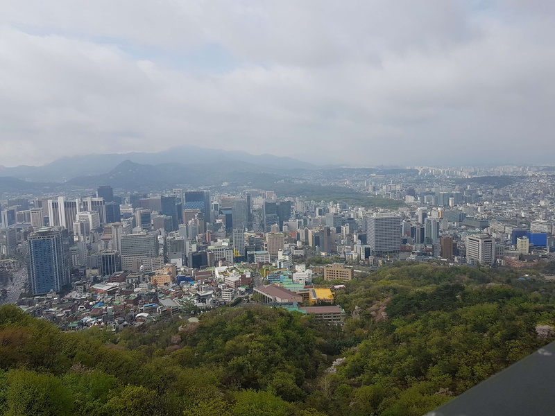 built structure, plant, tree, office building exterior, cityscape, no people, cityview, south korea, building, building exterior, skyscraper, tower, residential district