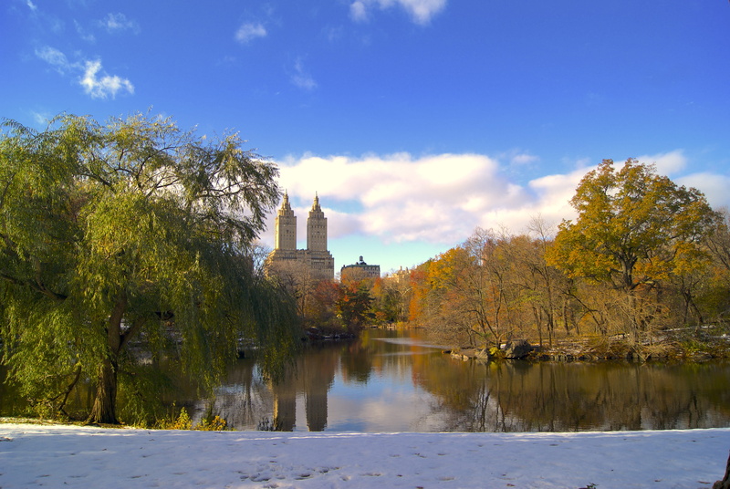 winter, sky, scenics - nature, park, autumn, cloud - sky, cityparks, beauty in nature, nature, growth, new york, central park, usa, building exterior, tranquil scene