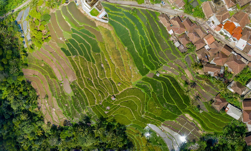 high angle view, country, view, buildings, growth, drone footage, field, daytime, scenics - nature, architecture, outdoors, agriculture, colors, green