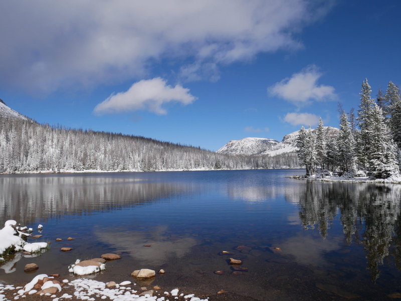 reflections, ice, frozen, outdoors, tranquil scene, tree, winter, beauty in nature, snow, woods, scenic, lake, cold, no people, weather, landscape, sky
