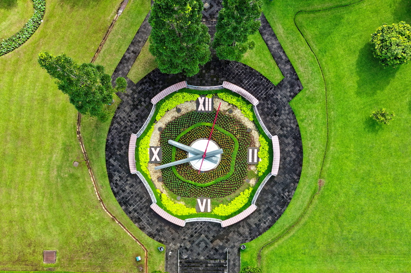 built structure, field, geometric shape, 4K, art and craft, formal garden, shape, scenery, directly above, analog, from above, watch, artistic, outdoors