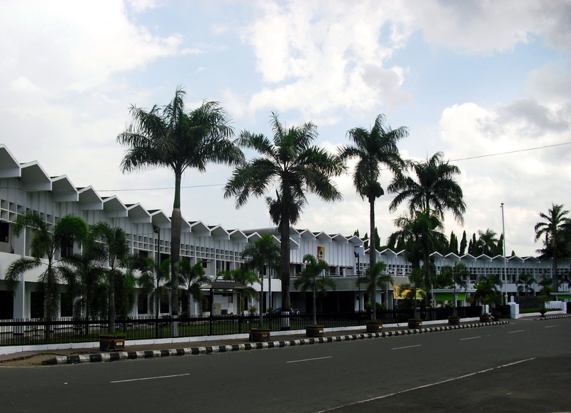 jember, nature, coconut palm tree, motor vehicle, tree, building, office, road, palm tree, city, plant, street, mode of transportation, outdoors, asian