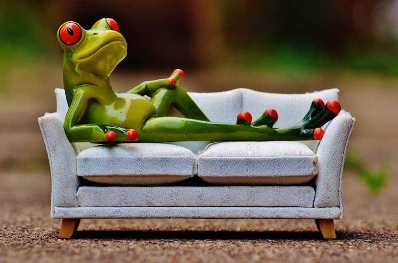 no people, still life, creativity, close-up, figure, wood - material, rest, table, day, representation, animal representation, nature, concerns, animal