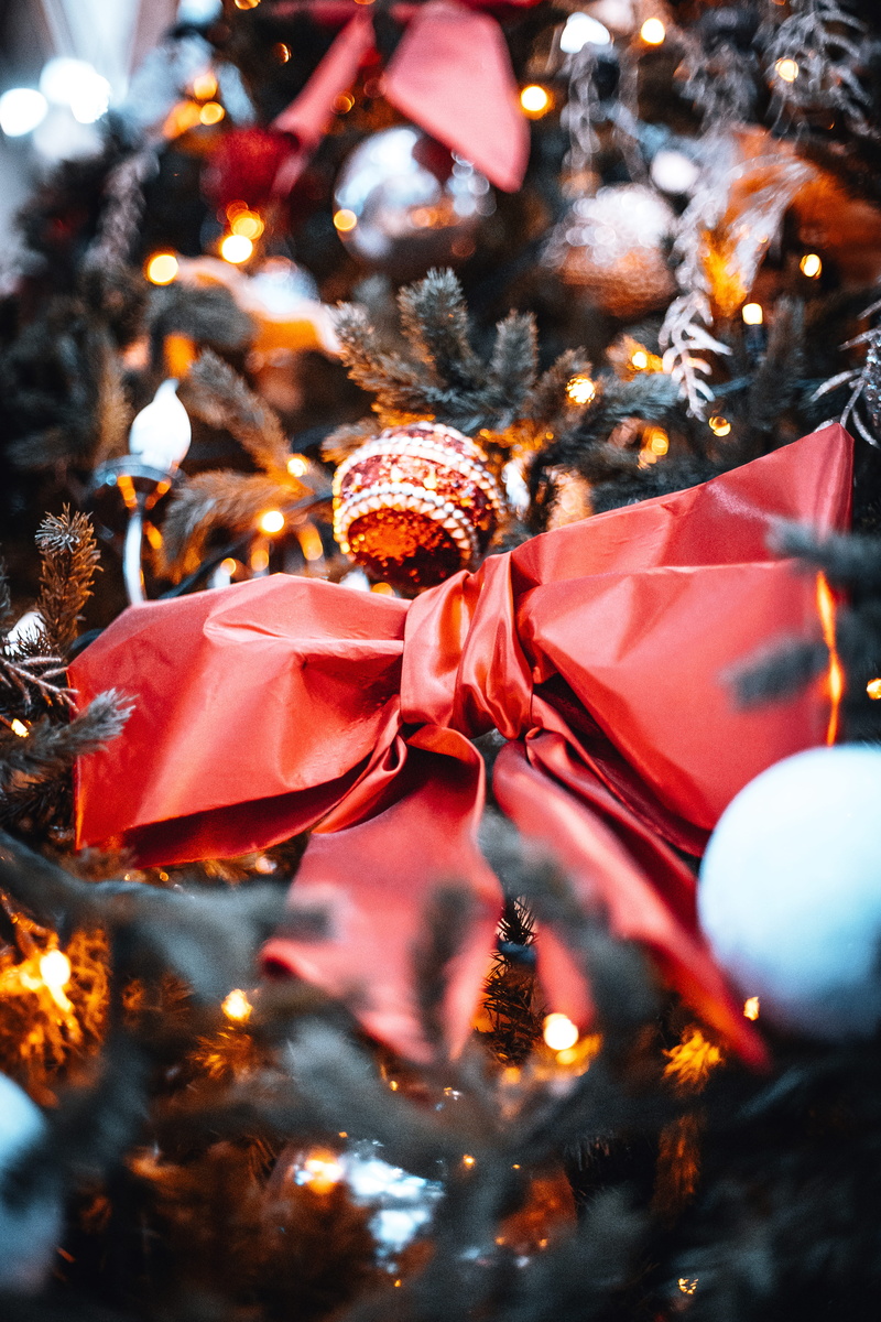 honey bee, insect, selective, photography, lighting, focus on foreground, plant, close-up, ornament, fir, sweets, christmas lights, religion, tree, leaf