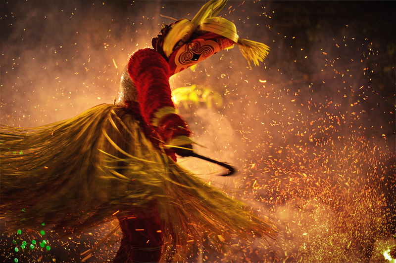 invertebrate, blurred motion, bee, standing, weapon, light, nature, fire, orange color, mammal, animal, splashing, arts culture and entertainment, vertebrate